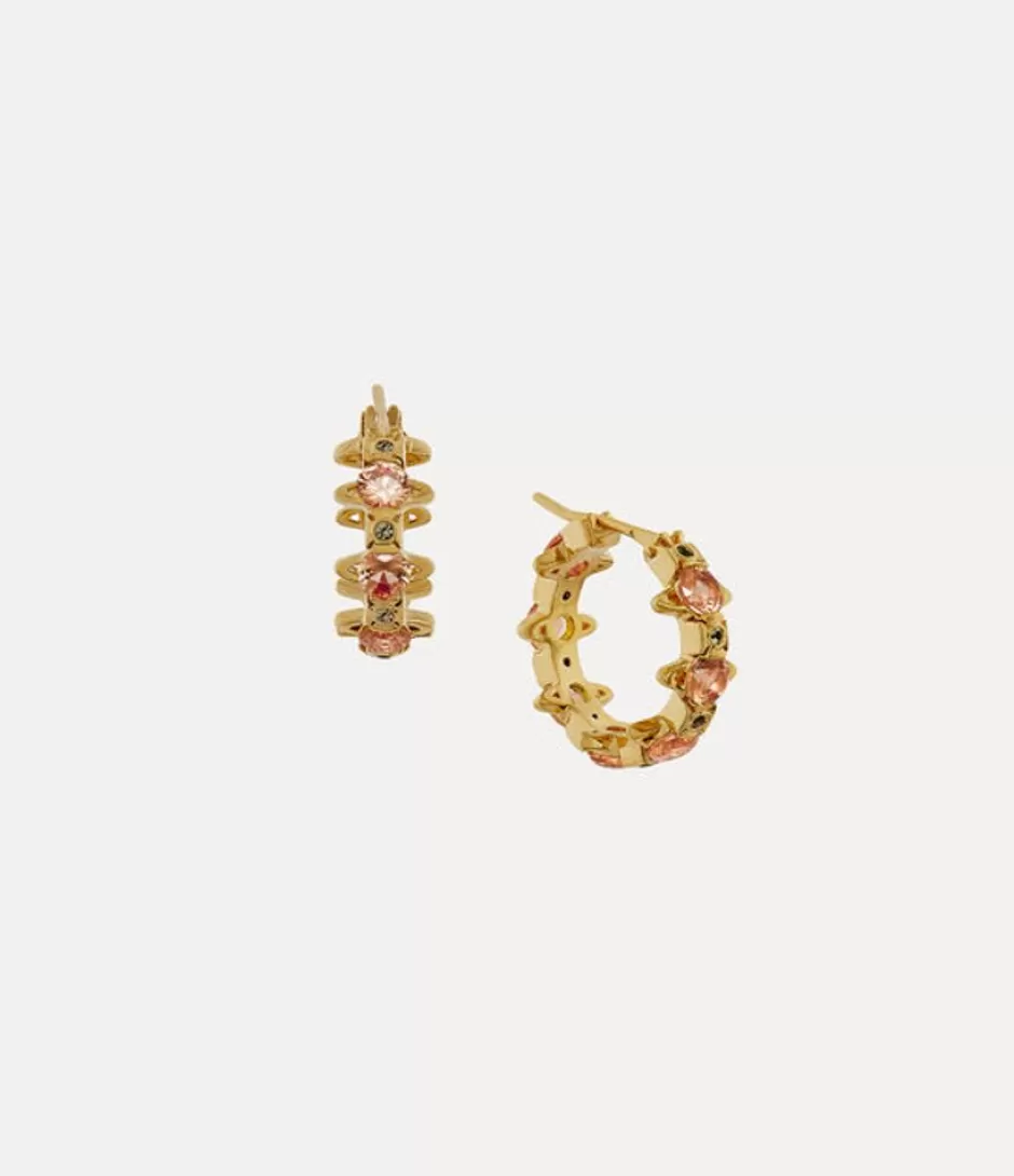 Vivienne Westwood Warwick Earrings Hot